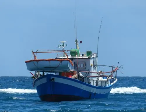 Production Inefficiency Of Vietnam’s Fisheries Processing Firms vi